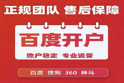 成功案例：SEM托管代运营助力业务增长